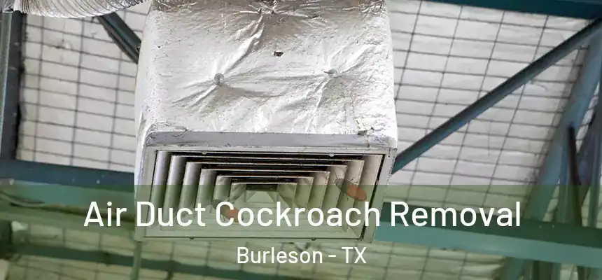  Air Duct Cockroach Removal Burleson - TX