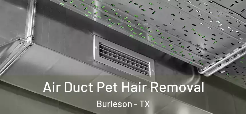  Air Duct Pet Hair Removal Burleson - TX