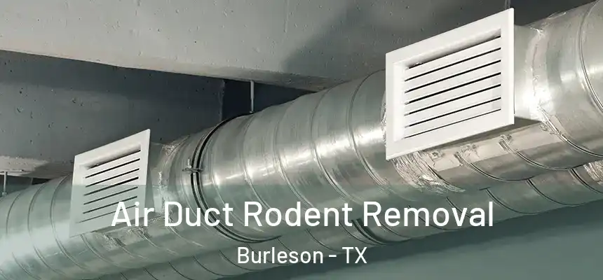Air Duct Rodent Removal Burleson - TX