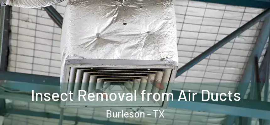 Insect Removal from Air Ducts Burleson - TX