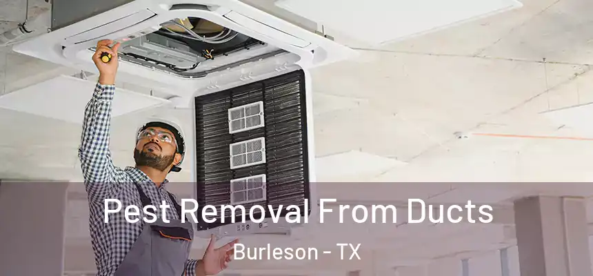  Pest Removal From Ducts Burleson - TX