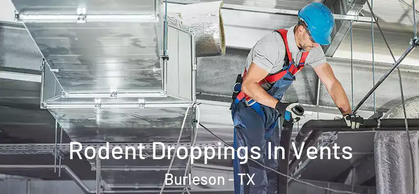  Rodent Droppings In Vents Burleson - TX