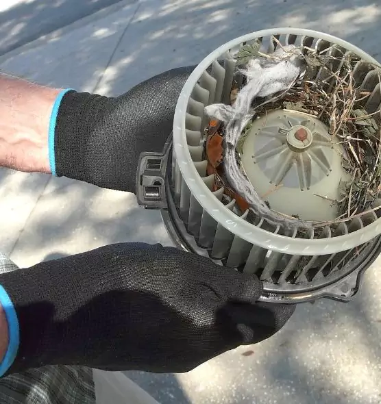 About Air Duct Mice Removal in Burleson, TX