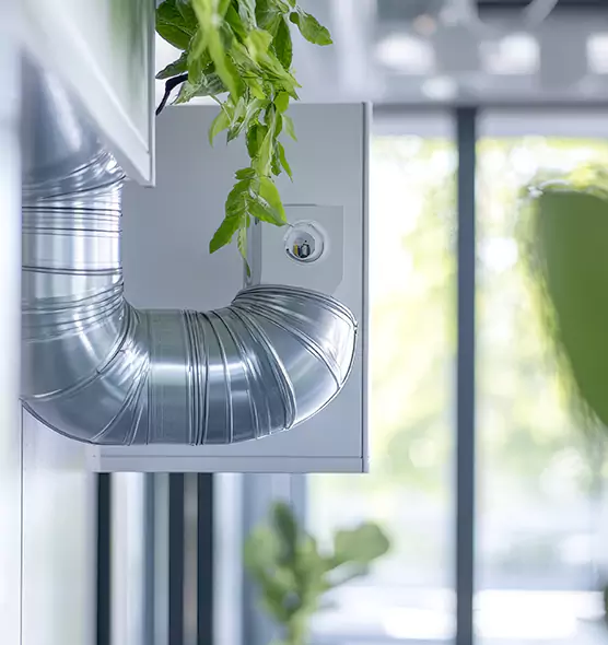 Professional Eco-Friendly Duct Cleaning Services in Burleson, TX