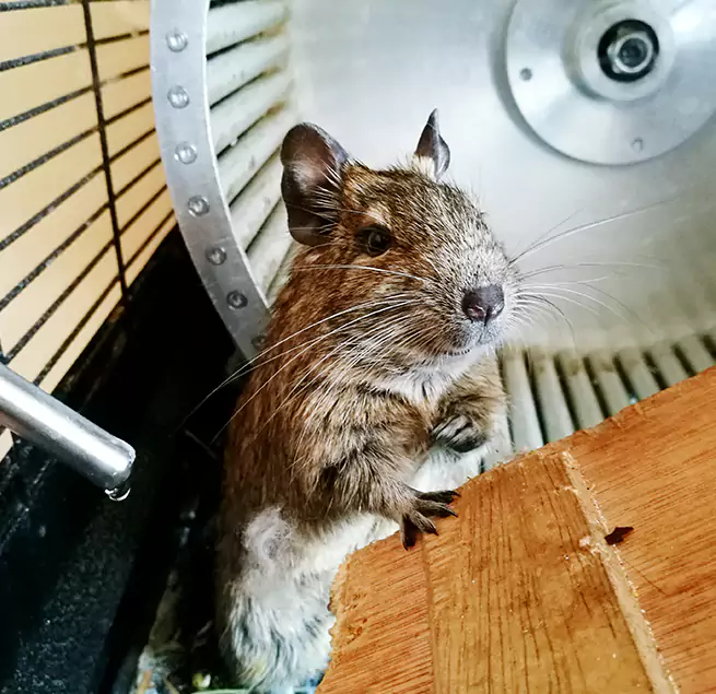 Why Homeowners & Businesses Trust Us Burleson, TX