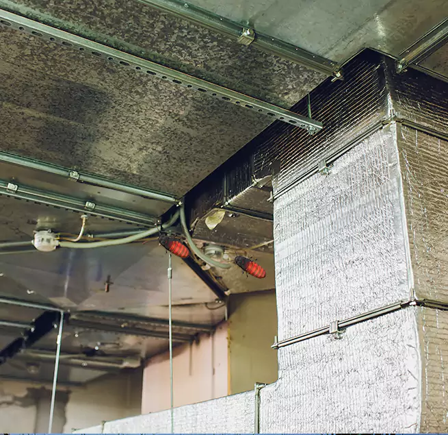 Why Homeowners & Businesses Trust Us Burleson, TX?